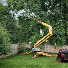 Best Pest Control for Lawns  in Soddy Daisy, TN