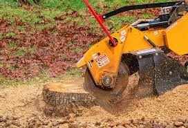 Reliable Soddy Daisy, TN Tree Removal Solutions